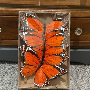 Large string of monarch butterflies
